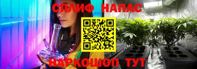 мдпв Пугачёв