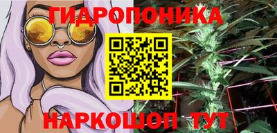 мдпв Пугачёв