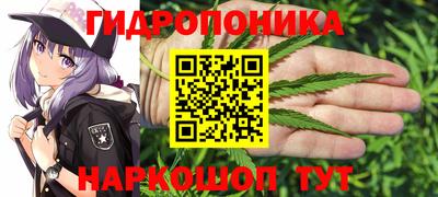 мдпв Пугачёв