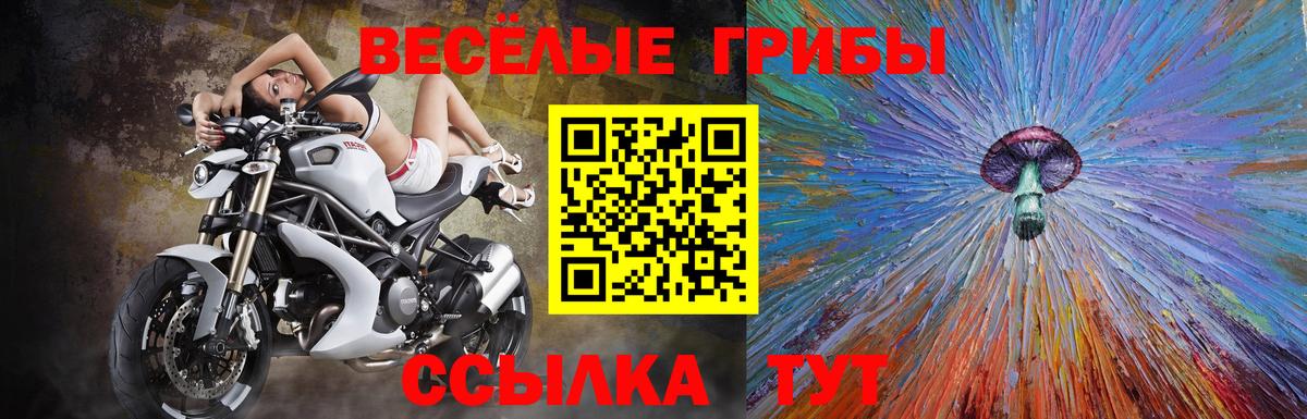Ростов-на-Дону  Псилоцибиновые грибы Psilocybe  Вход с VPN  Галлюциногенные грибы мухоморы 